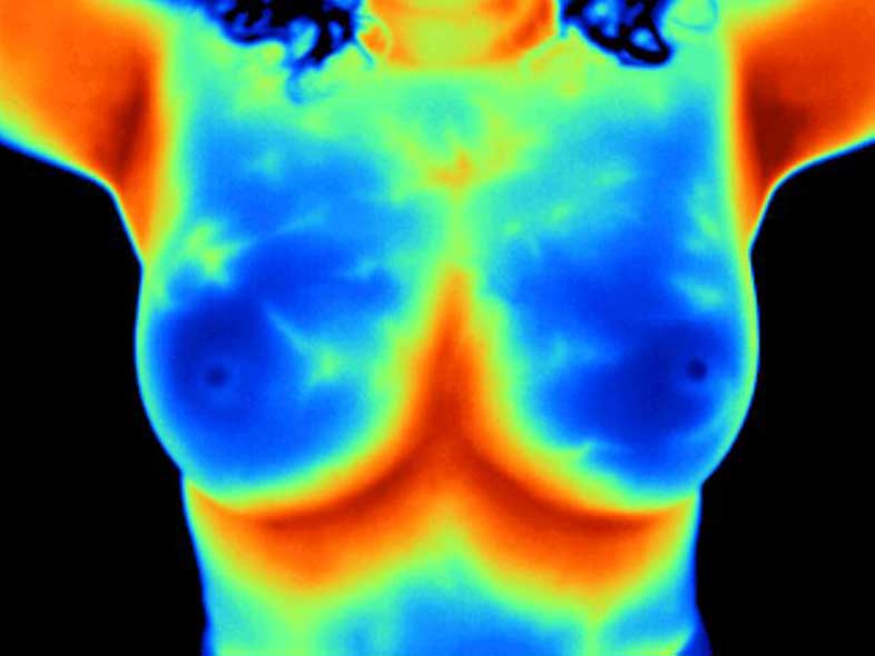 Thermogram displaying healthy, uniformly cool breasts without vascular markings.
