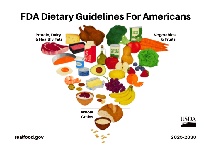 New FDA food pyramid
