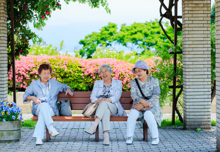 Three older Japanese women enjoying time together outdoors, highlighting social connection and healthy aging habits.